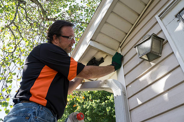 Best Attic Cleanout  in Hinsdale, IL